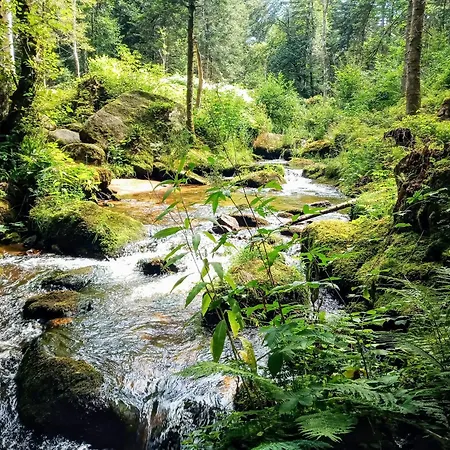 Refuge Aquilae - Nature, Sauna & Bain Nordique Privatifs 펜션