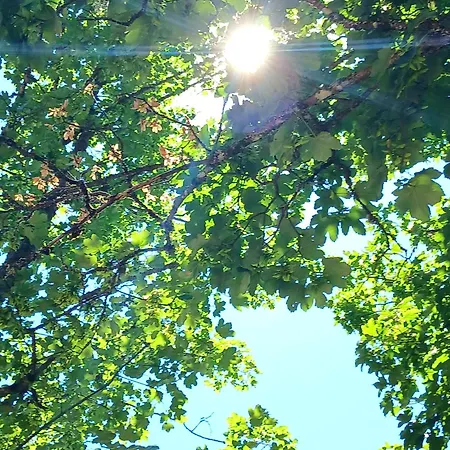 펜션 Refuge Aquilae - Nature, Sauna & Bain Nordique Privatifs